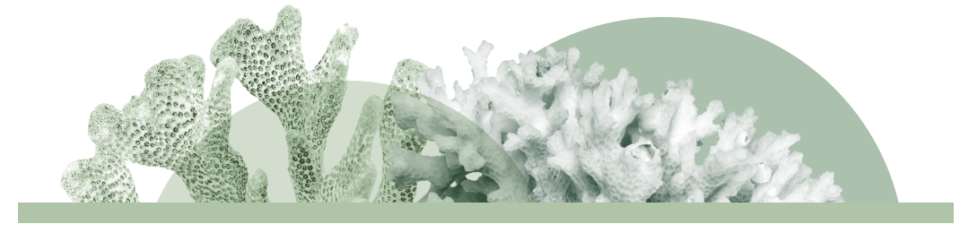 Mousse Batida Mineral FPS 30