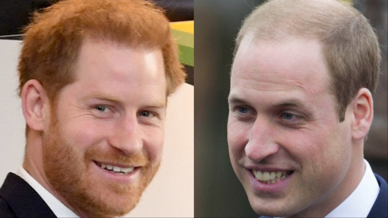  El Príncipe Harry y el Príncipe William en diferentes eventos