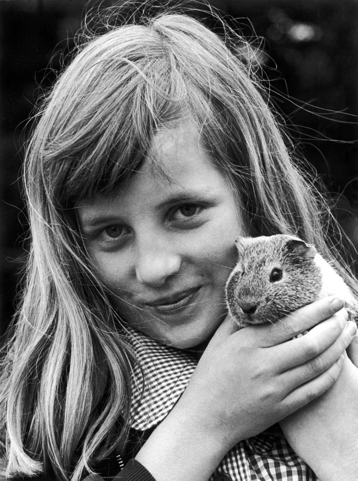 Diana dorastała w otoczeniu psów, kotów, chomików, królików i koni. „Kiedy była dzieckiem, kochała zwierzęta” - mówi jej matka. „Uwielbiała wszystko, co było małe i futrzane lub miało pióra”. Diana nauczyła się jeździć konno, zanim skończyła cztery lata, ale po tym, jak złamała rękę w wypadku konnym, jej miłość zniknęła. Mimo to jej empatia dla wszystkich żywych stworzeń byłaby znakiem rozpoznawczym jej życia. Tutaj trzyma swoją świnkę morską podczas pokazu zwierząt domowych w Sandringham w 1972 roku. Przyprowadziła swoją świnkę morską do swojej pierwszej szkoły z internatem, Riddlesworth Hall, gdzie została dyrektorem „Pets’ Corner ”, gdzie trzymano zwierzęta uczniów.