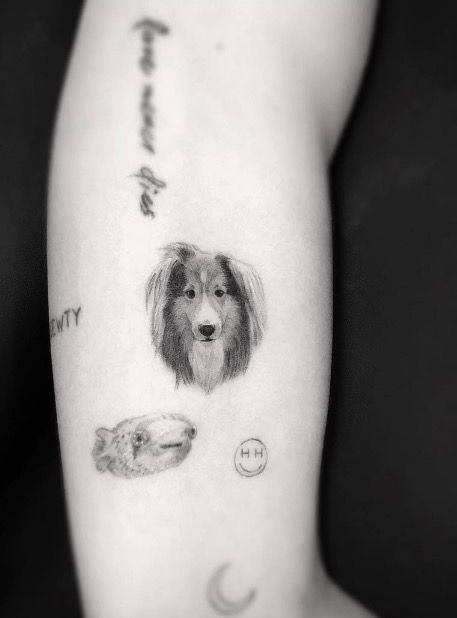 Tatuagem, Braço, Articulação, Ombro, Pele, Tatuagem temporária, Perna, Perna humana, Corpo humano, Canídeos,