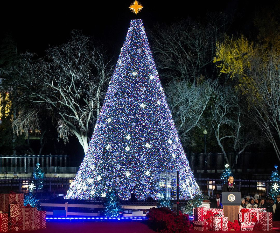 Obama Tree Lighting 2016 - Insertar - 4
