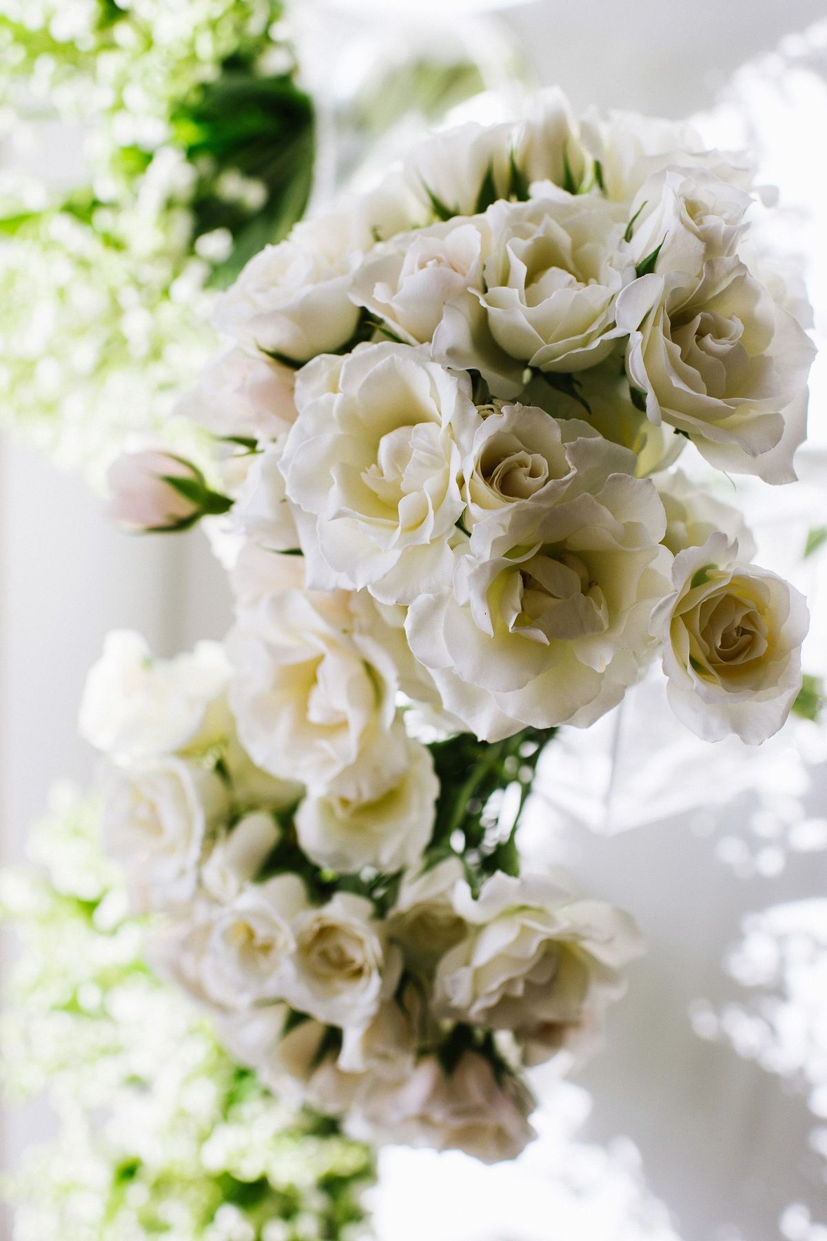 hbz-odlr-bridal-ss2016-03