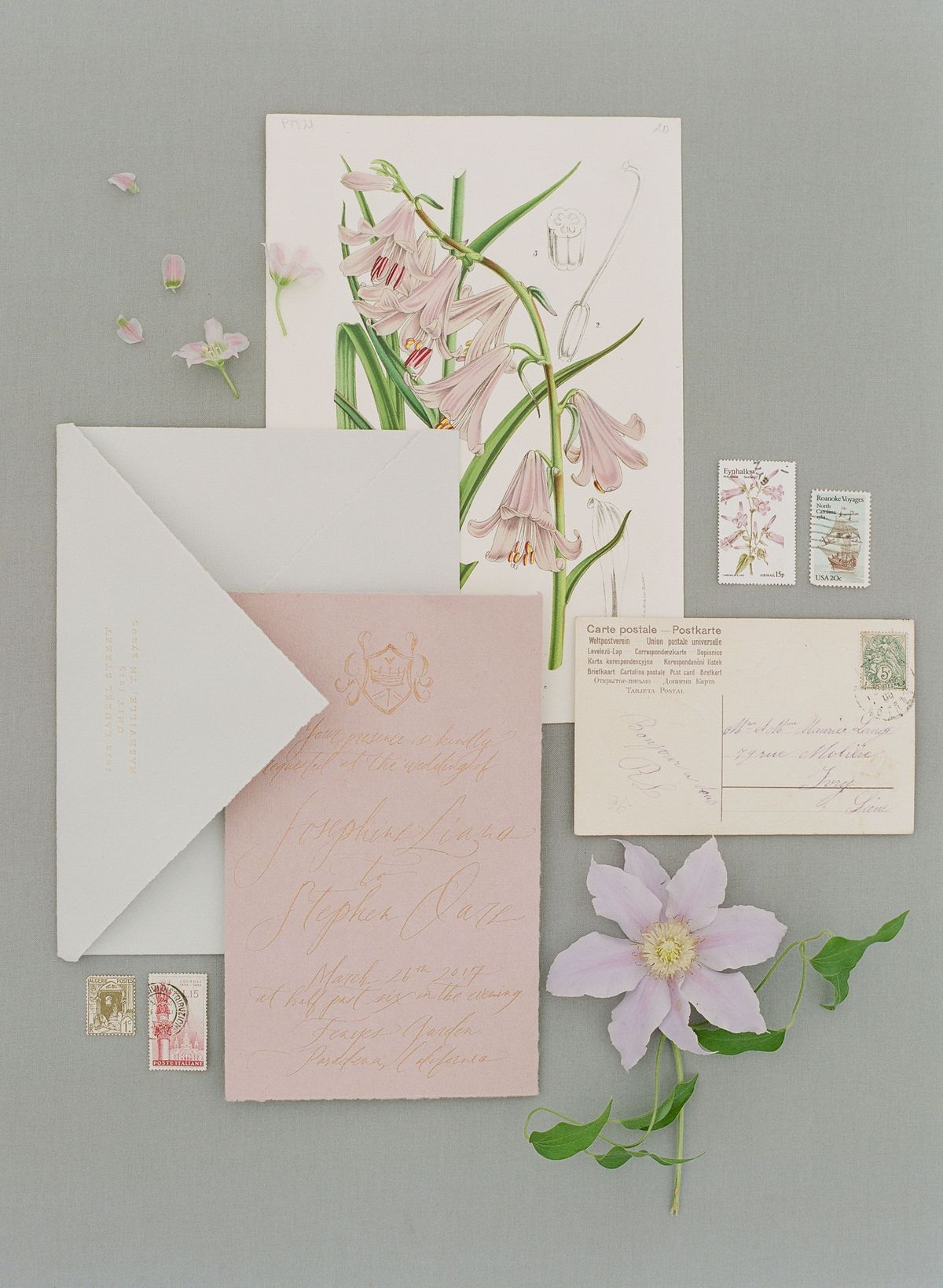 Botanika, Umjetnički papir, Biljka, Cvijet, Papir, Origami papir, Soba, Papirni proizvod, Latica, Ilustracija,
