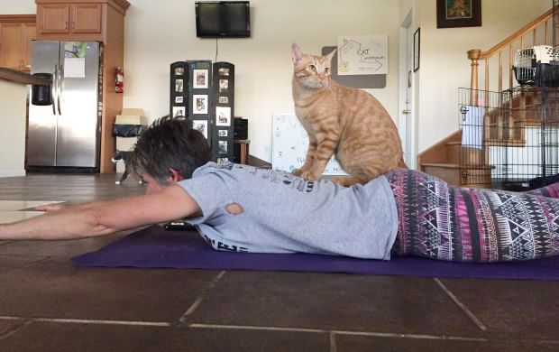 Katzenyoga 2