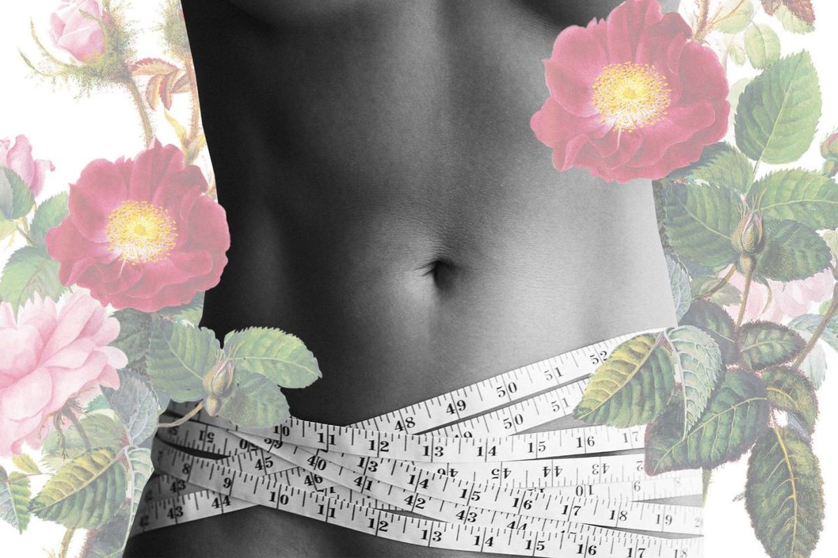 Pétala, Flor, Rosa, Botânica, Planta com flores, Régua de escritório, Caule da planta, Rosa nutkana, Arbusto, Ordem de rosa,