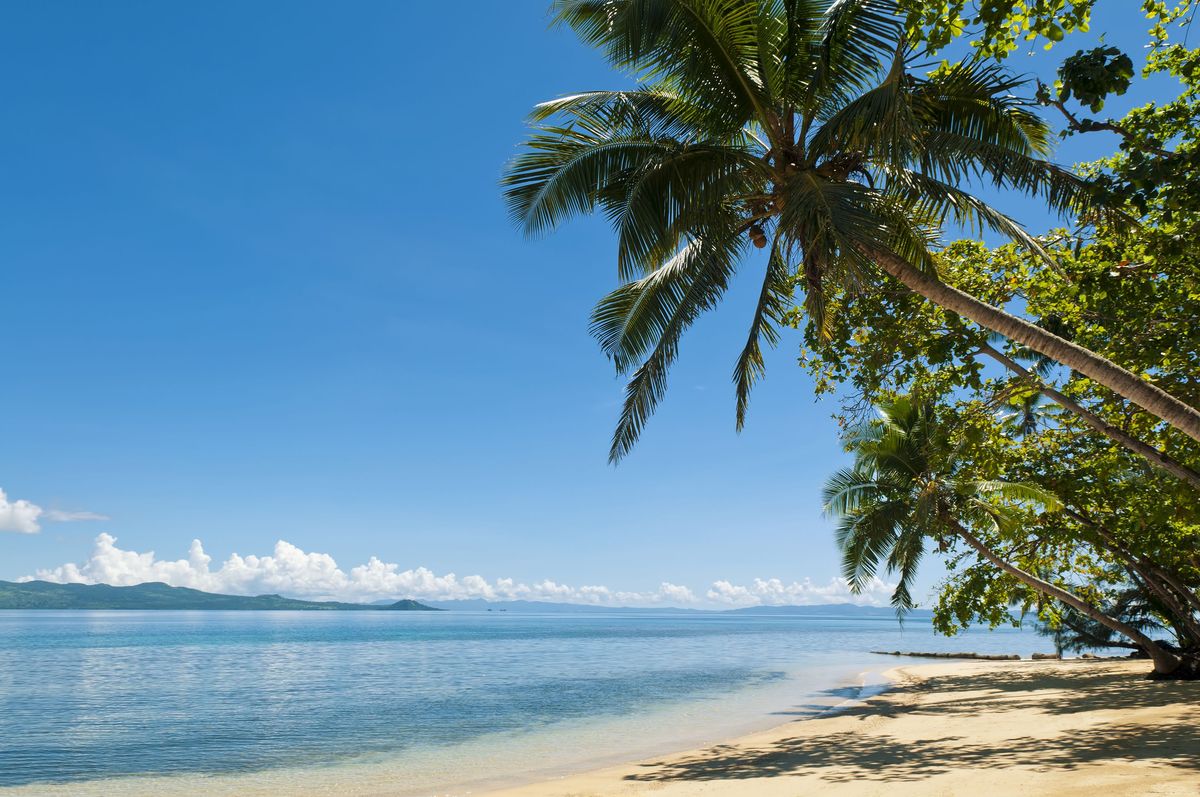 Fidżi, plaża i drzewa Cocopalm w Matangi Private Island Resort.