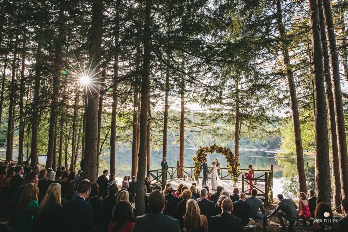 Fotografija, Drvo, Prirodno okruženje, Gužva, Šuma, Šuma, Drvenasta biljka, Događaj, Sunčeva svjetlost, Ceremonija,