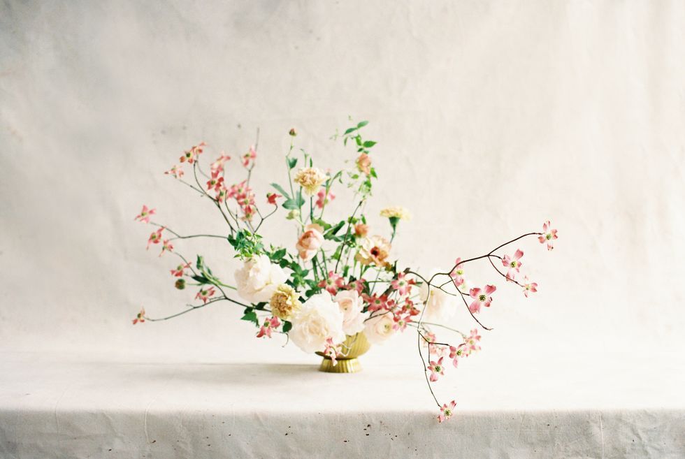 Cvjetni dizajn, Fotografija mrtve prirode, Grana, Cvijet, Ikebana, Rezano cvijeće, Aranžiranje cvijeća, Cvjećarstvo, Biljka, Grančica,