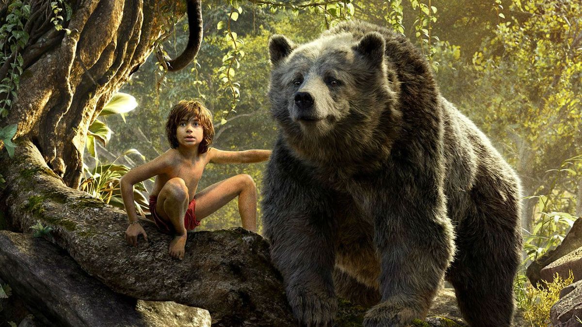 Natura, Organizm, Niedźwiedź Grizzly, Niedźwiedź brunatny, Kręgowiec, Zdjęcie, Mięsożerne, Wyraz twarzy, Niedźwiedź, Rezerwat przyrody,