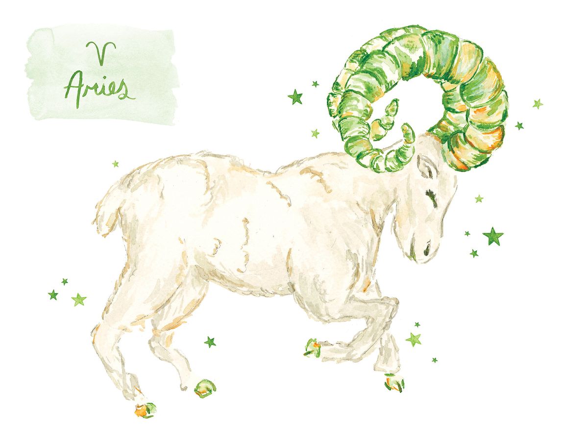 Ditt februarihoroskop är här