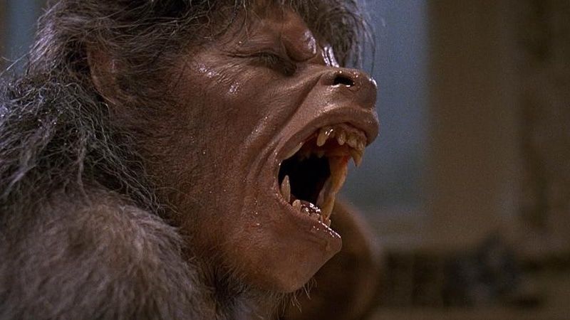 A cena de transformação de An American Werewolf em Londres, mostrando o estado de meio homem e meio mundo