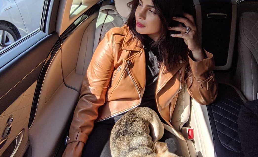 Priyanka Chopra hat mit ihrem Instagram-berühmten Hund Diana eine Partnerschaft