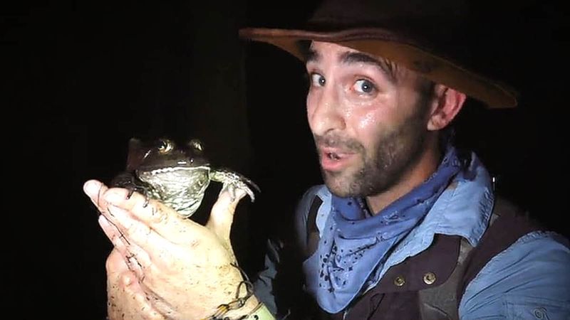 Teksasissa härkäsammakot ovat myös suurempia! Kojootti löytää härkäsammakon yöllä. Kuvan luotto: Animal Planet.