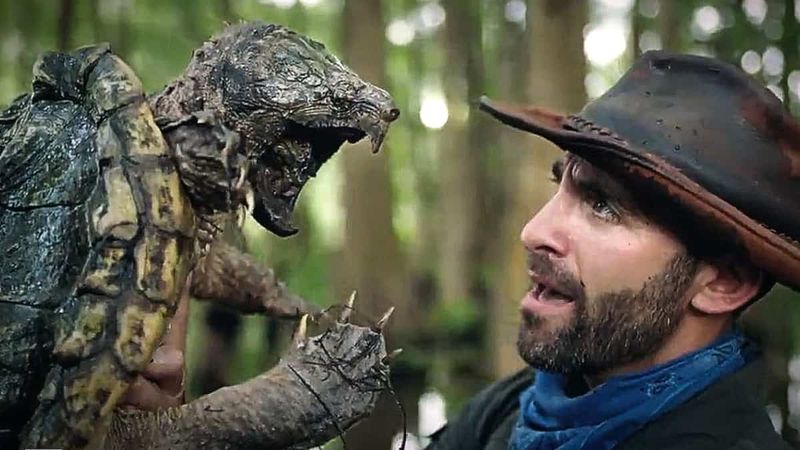 Kojootti kohtaa pienemmän alligaattorin nappaavan kilpikonnan, joka voi aiheuttaa todellista vahinkoa ihmiselle. Kuvan luotto: Animal Planet.