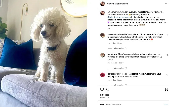  קלואי בראון's Instagram post 