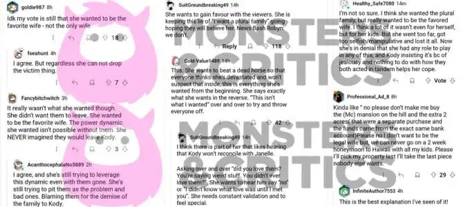   esposas irmãs comentam em uma postagem do Reddit discutindo Robyn e Janelle Brown