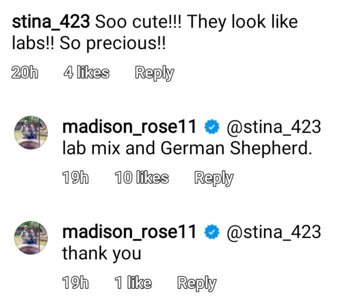 Maddie Brown hat ihre Hunde bestätigt