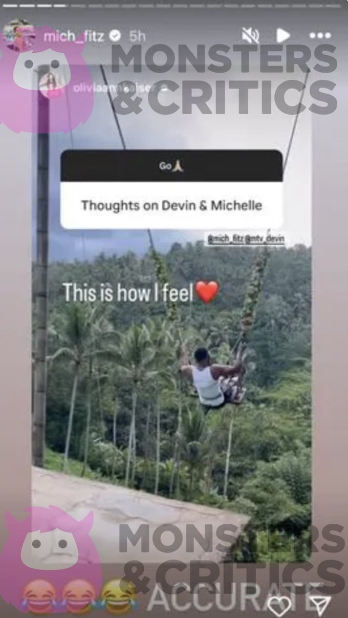 posnetek zaslona iz zgodbe na Instagramu michele fitzgerald, delitev objave njenih soigralcev o njej in Devinu