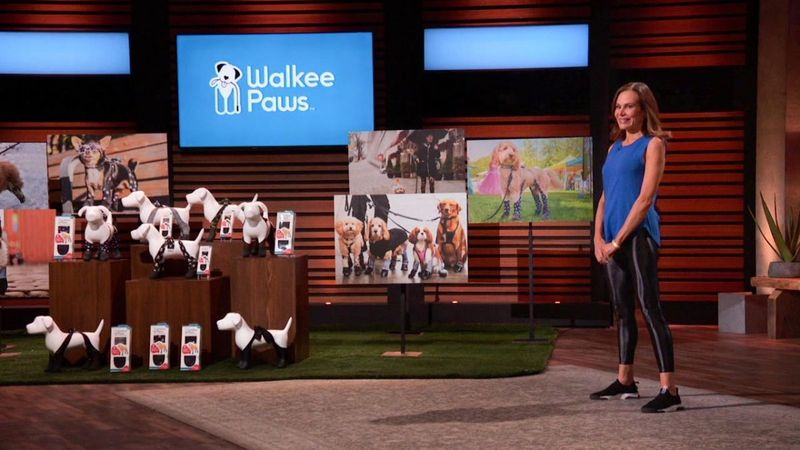 Walkee Paws on Shark Tank: Aqui está o que torna essas leggings para cães especiais e onde comprá-las