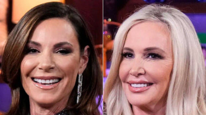 Haben Luann de Lesseps und Shannon Beador in der neuen Dating-Show „Love Hotel“ die Liebe gefunden?