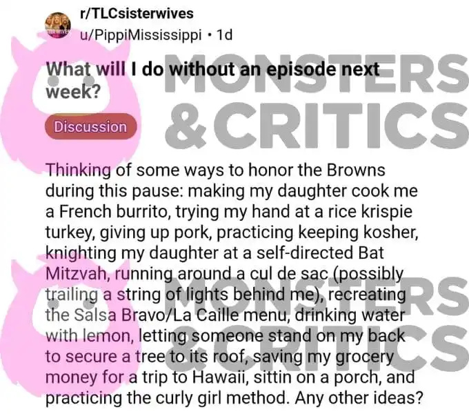   um espectador de esposas irmãs posta sobre esta semana's hiatus on reddit