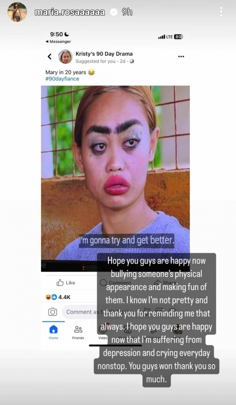   Maria Denuccio's instagram story about bullying
