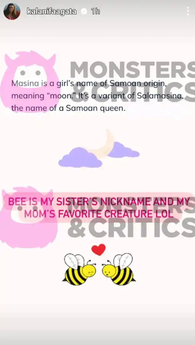   suspendierter Kunde's instagram story explaining her daughter's name