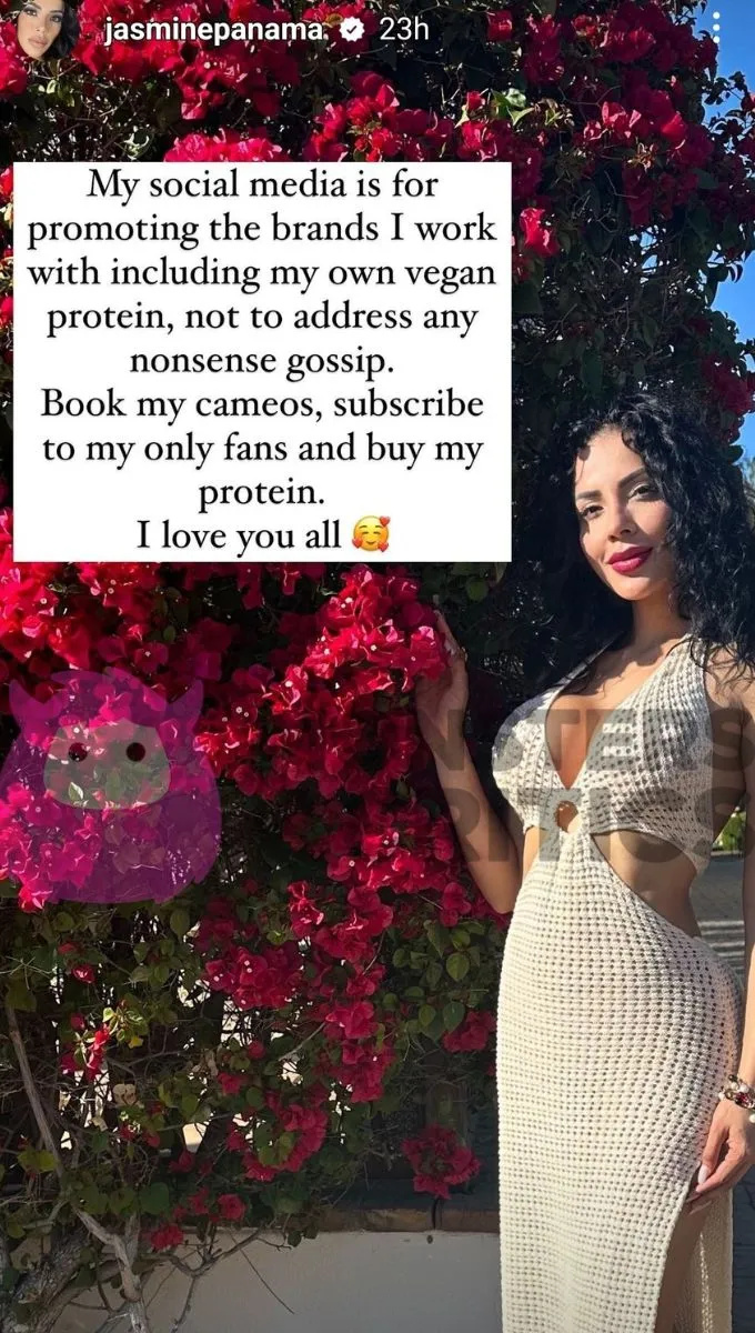   gelsomino pineda's instagram story talking about "nonsense gossip"