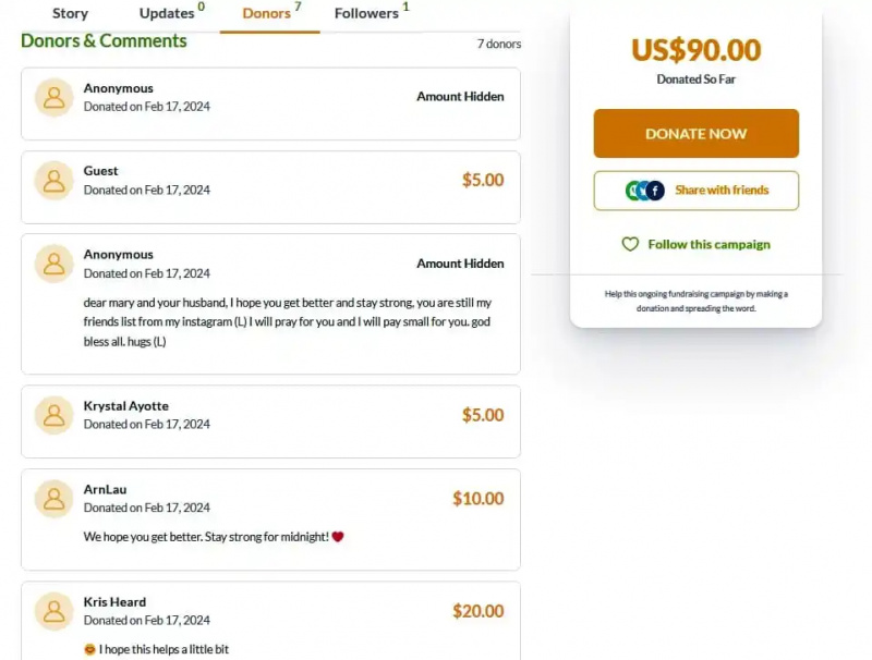   Мери Денучо's donations on her gogetfunding page