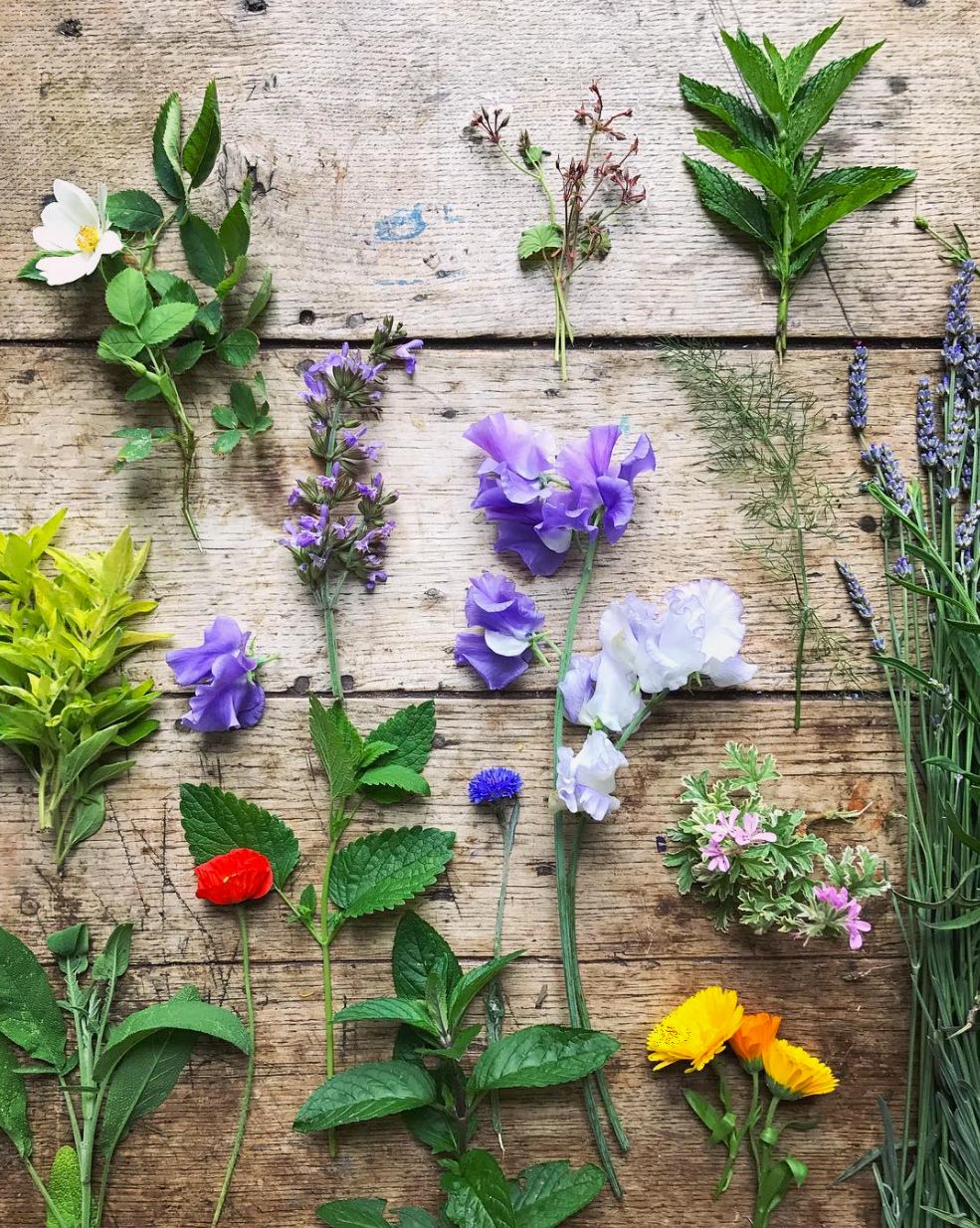 Instagram Famous - Blomster - Legge inn