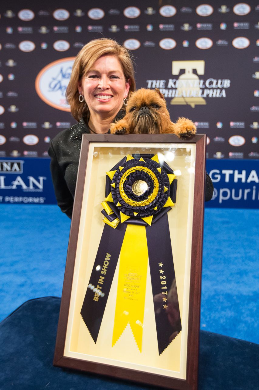 Gewinner der nationalen Hundeausstellung - Einbetten - 1