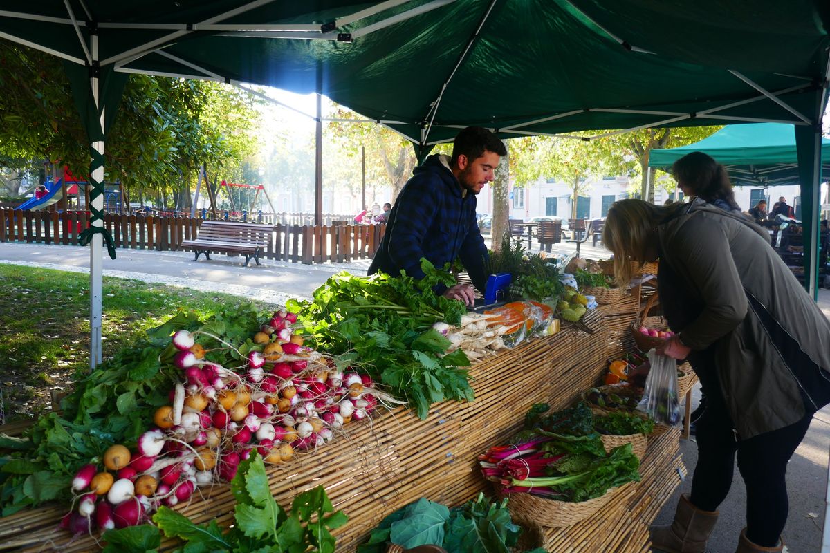 Marktplatz, Markt, lokale Lebensmittel, Verkauf, öffentlicher Raum, natürliche Lebensmittel, Stall, Hawker, Gemüsehändler, menschliche Siedlung,