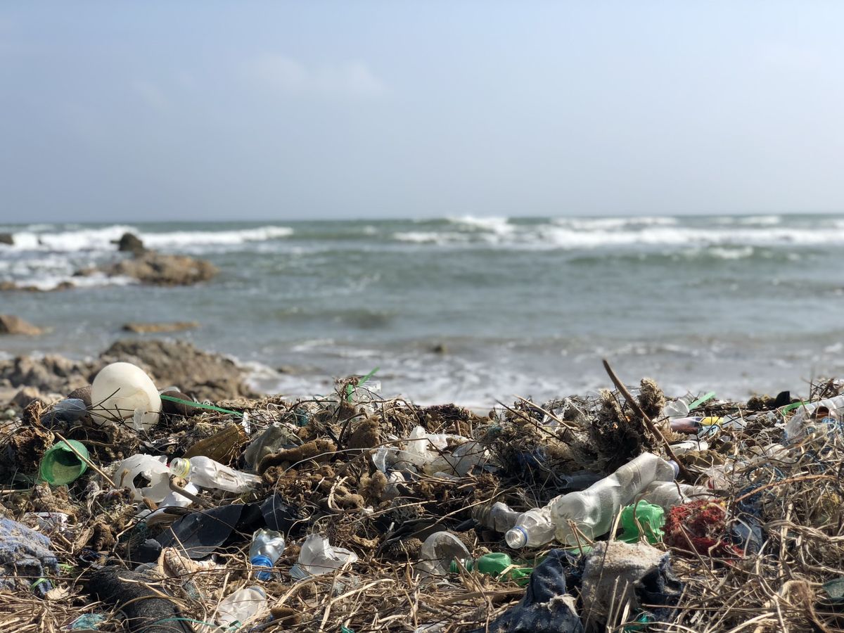 Brzeg, morze, wybrzeże, odpady, ocean, śmieci, plaża, przybrzeżne i oceaniczne formy lądowe, fala, zanieczyszczenie,