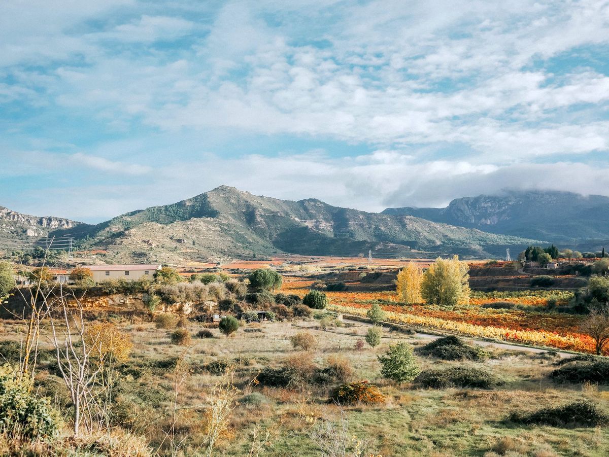 Rioja, Hiszpania