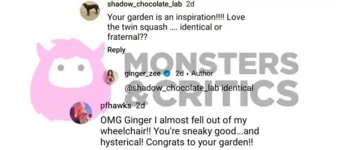 đumbir zee's instagram followers comment on her "twins" post