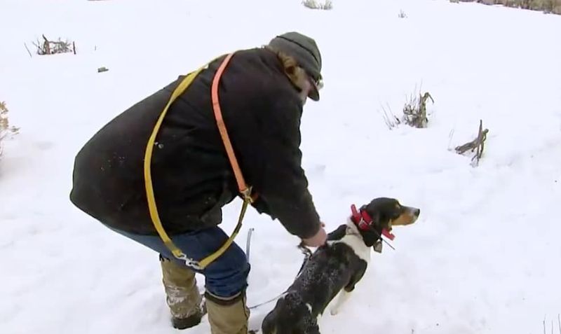 Rich tar med sina hundar för en träningsrunda på Mountain Men