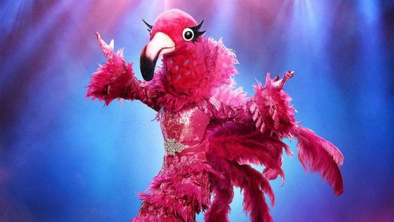 The Masked Singer: Wer ist Flamingo basierend auf der NAACP-Auszeichnung?