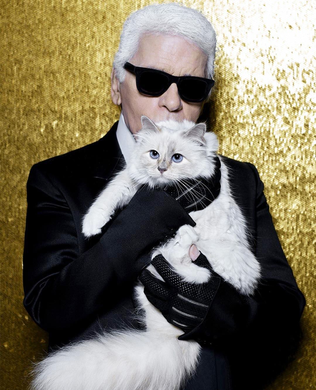 8 coses que no sabíeu de Choupette Lagerfeld, el gat més espatllat del món