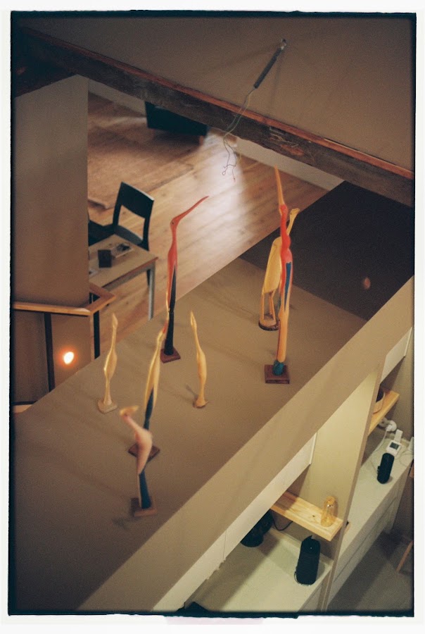 TECTO STUDIO foto 4